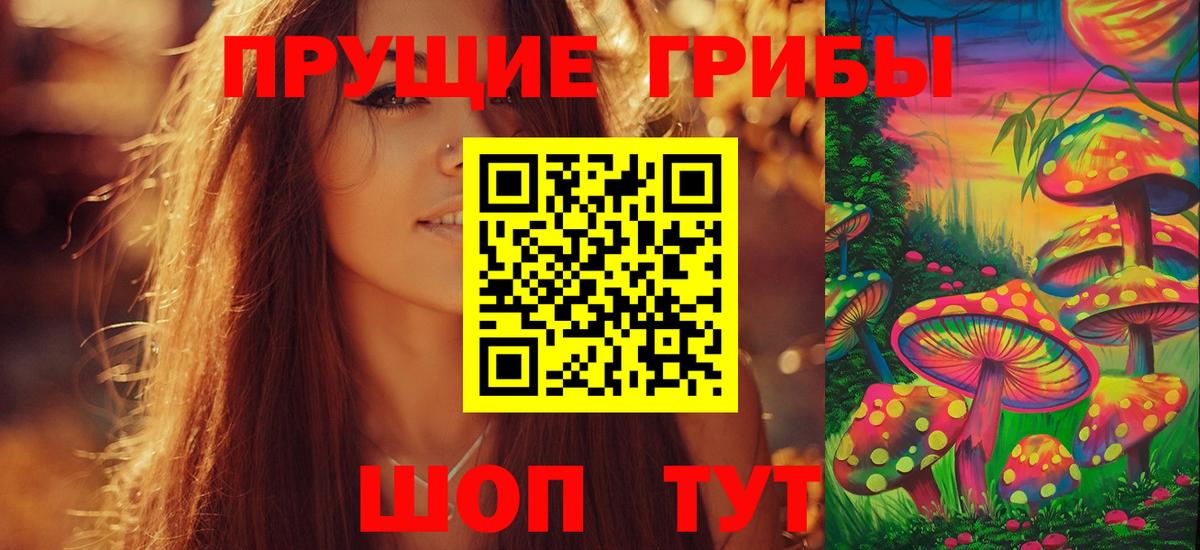 Галлюциногенные грибы Psilocybe  Вход с VPN  Чехов 